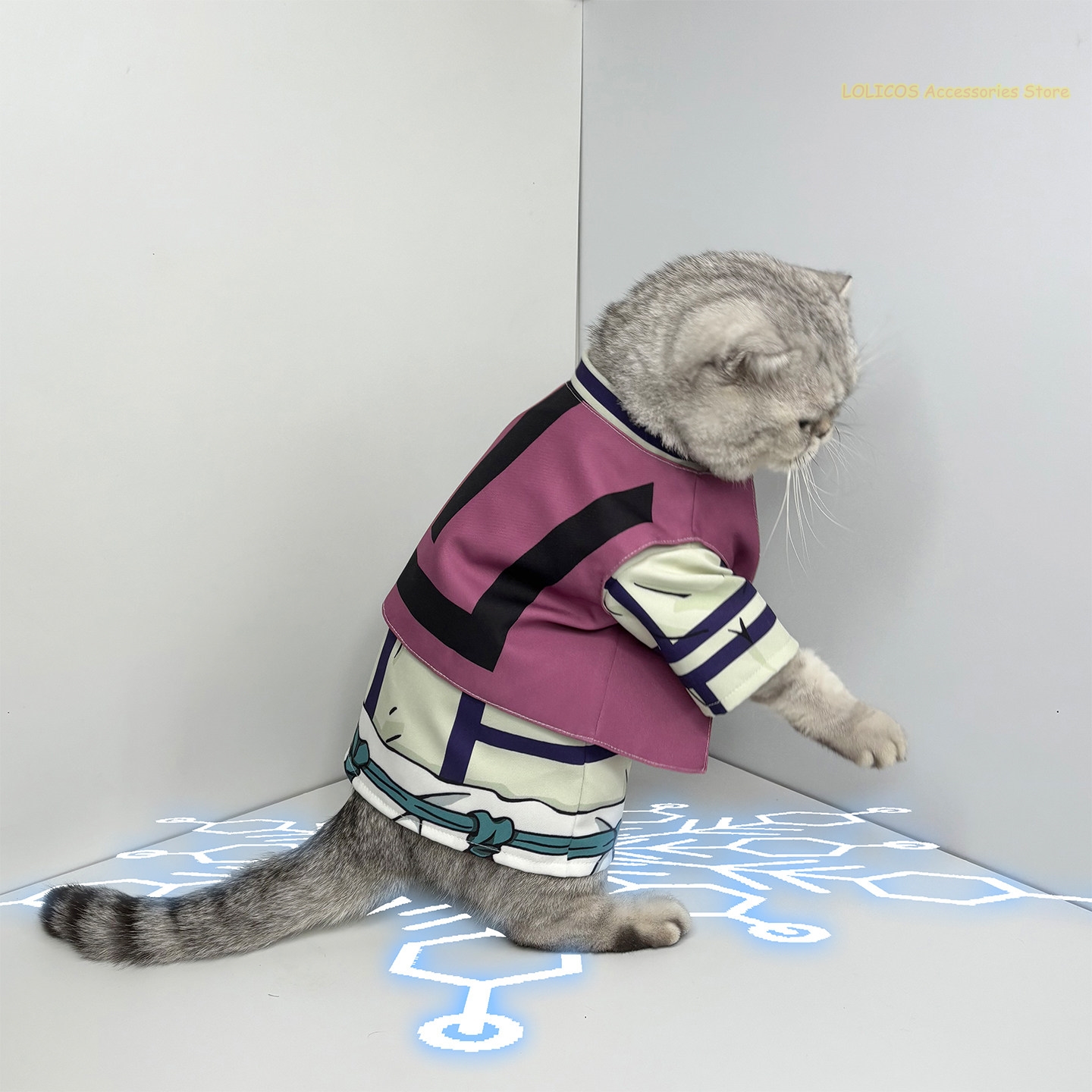 Douma Series Cosplay Costume C - Anime Cosplay Photo reseña y precio
