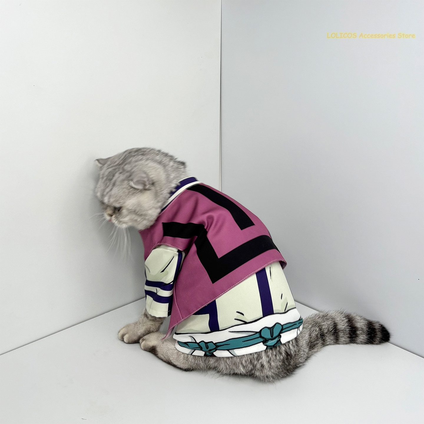 Douma Series Cosplay Costume C - Anime Cosplay Photo reseña y precio